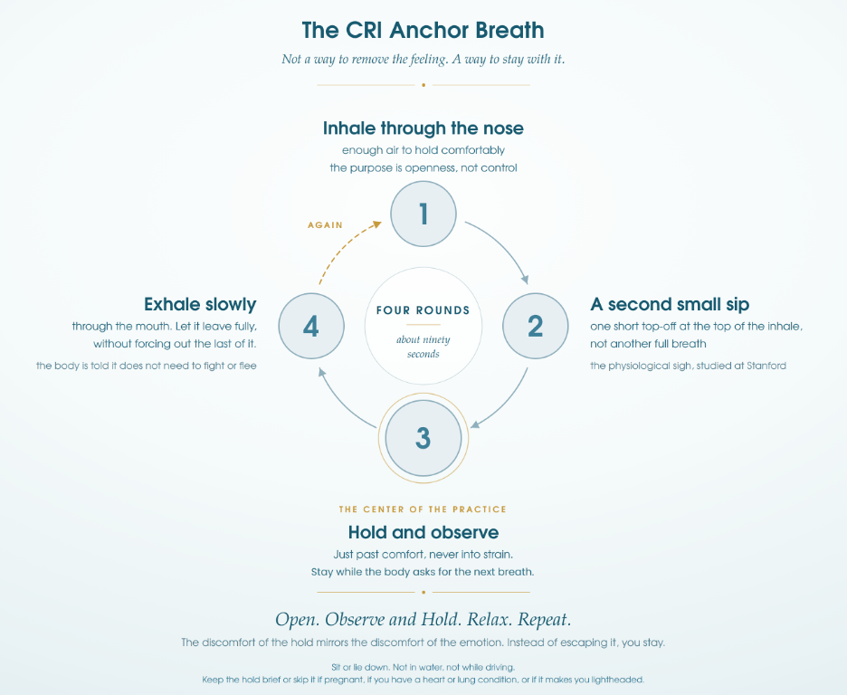 The CRI Anchor Breath: inhale through the nose, a second small sip, hold and observe, exhale slowly through the mouth. Four rounds, about ninety seconds.
