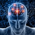 Neuroscience